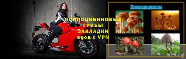 шишки Остров