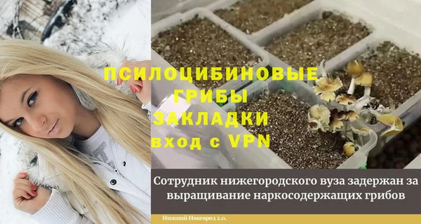 шишки Остров