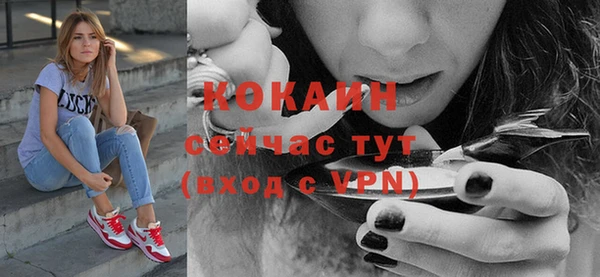 таблы Осинники