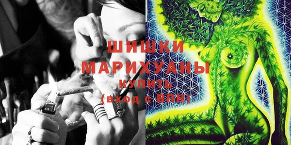 Альфа ПВП Нягань