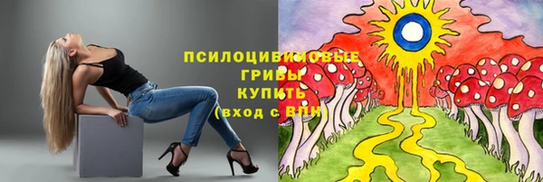 Альфа ПВП Нягань