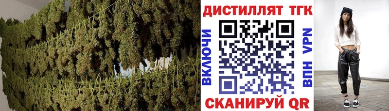 дарнет шоп Краснослободск ТГК вейп с тгк