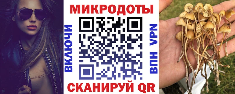 Галлюциногенные грибы мицелий дарнет шоп Краснослободск