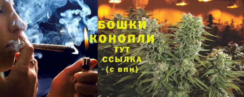 мега ТОР  где купить наркоту  Краснослободск  Канабис SATIVA & INDICA 